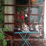 Patio Del Limonero