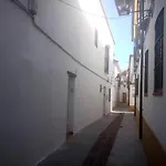 Patio Del Limonero