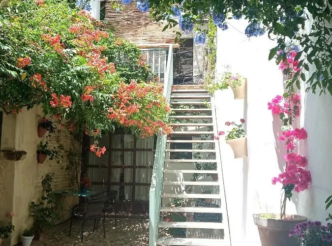 Apartamento Patio Del Limonero