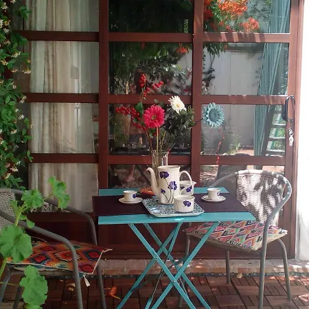 Patio Del Limonero