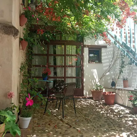 Patio Del Limonero