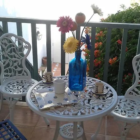 Patio Del Limonero コルドバ