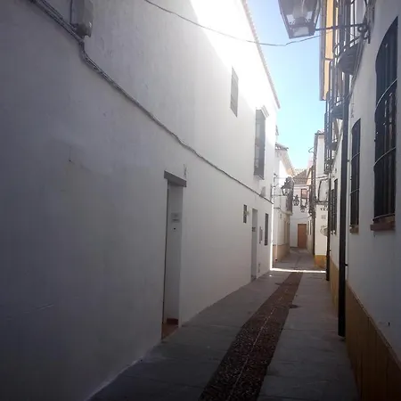 Patio Del Limonero