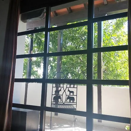 Patio Del Limonero *