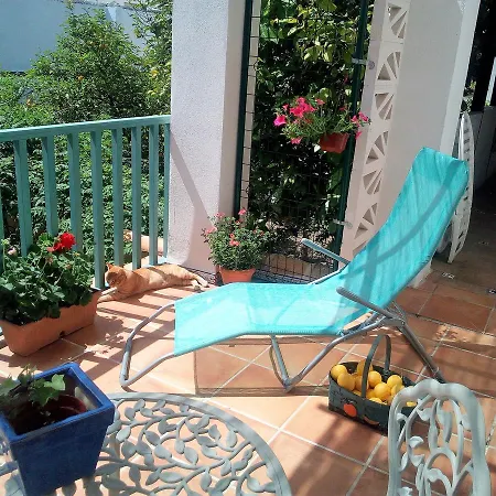 Patio Del Limonero コルドバ