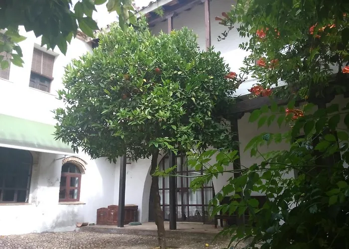 Patio Del Limonero Apartment Córdoba
