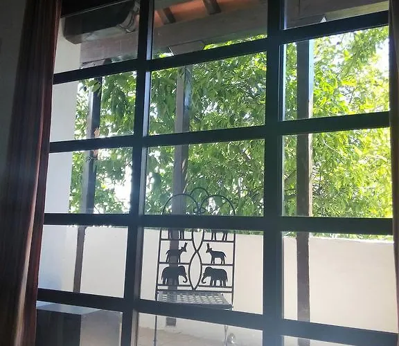 Patio Del Limonero *