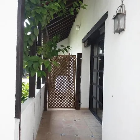 Patio Del Limonero Córdoba