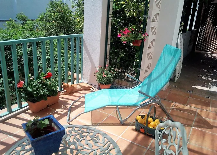 Patio Del Limonero 코르도바