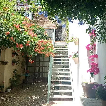 Apartamento Patio Del Limonero